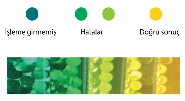 Cam Ultrasonik Temizlik İndikatörleri 